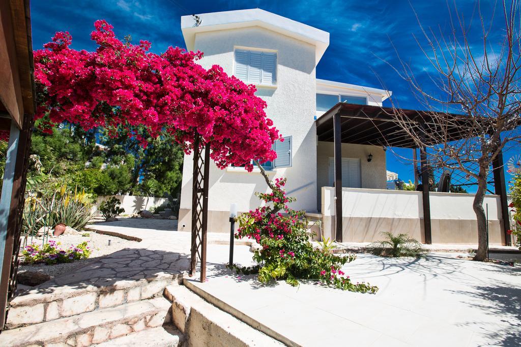 Merab Center Villas Agia Napa Exterior foto